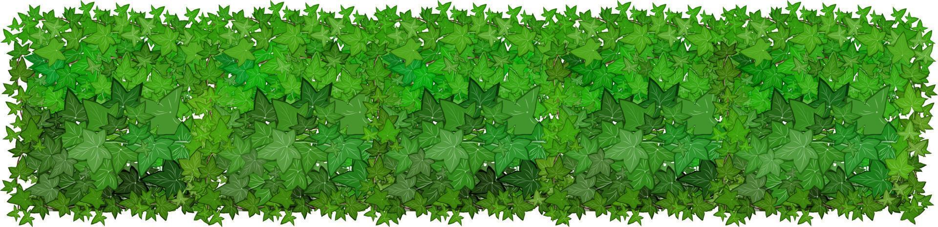 Set of ornamental green plant in the form of a hedge.Realistic garden shrub, seasonal bush, boxwood, tree crown bush foliage.For decorate of a park, a garden or a green fence. vector