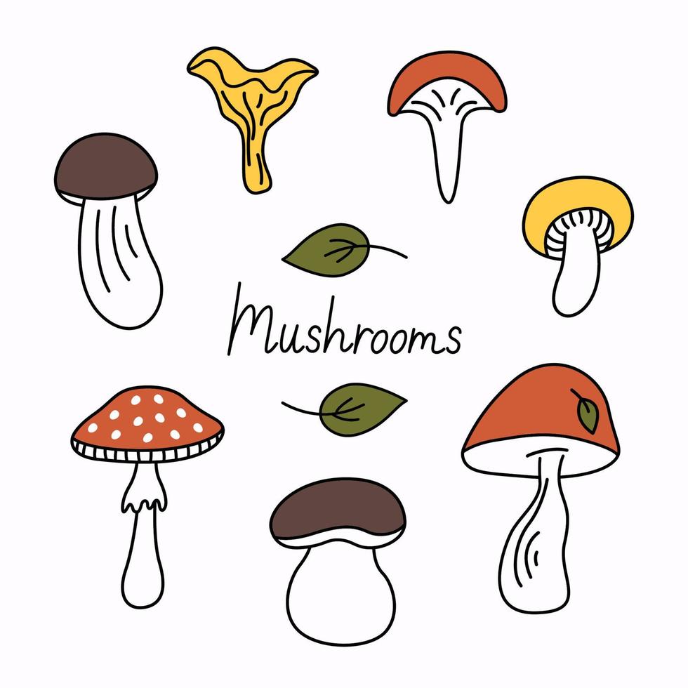 Mushrooms groovy doodle cartoon set. Different types of mushrooms autumn collection. Black outline, red, yellow, brown colars isolated on a white background. Hand drawn cute vector illustration.