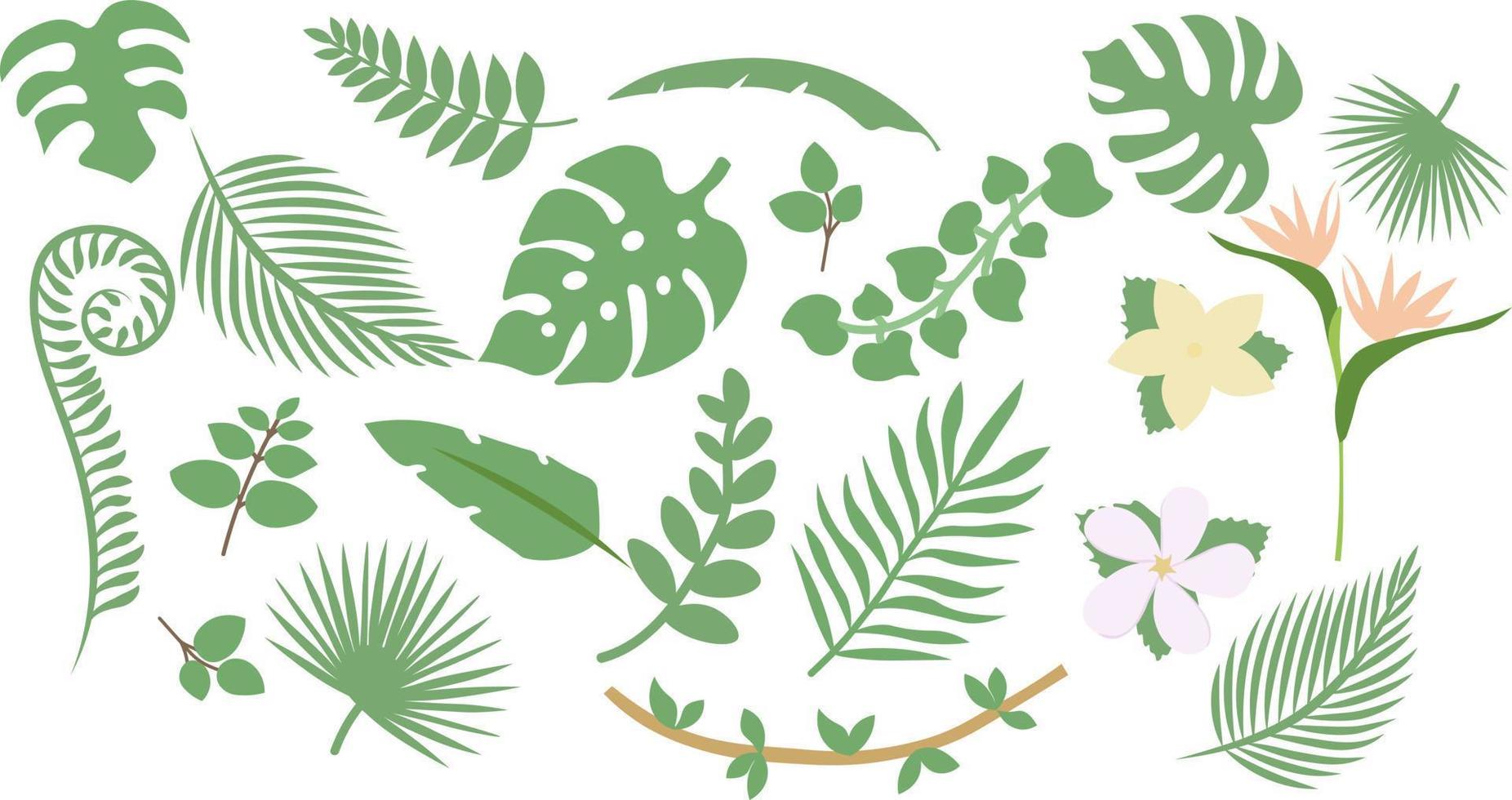 set of tropical leaves vector