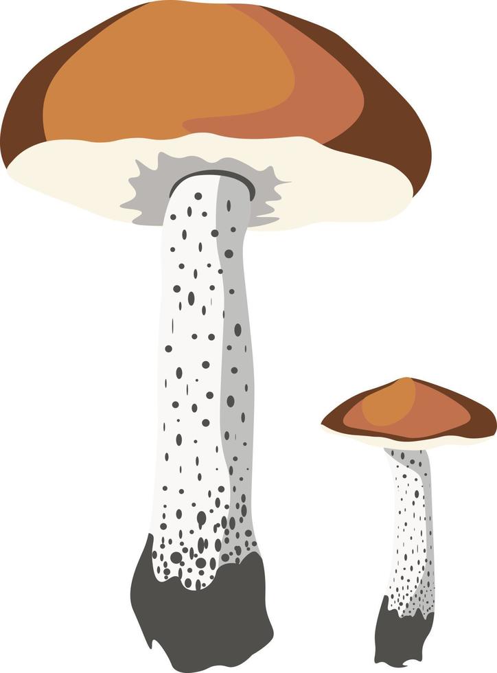 Autumn Mushrooms isolated Vector illustration on white background