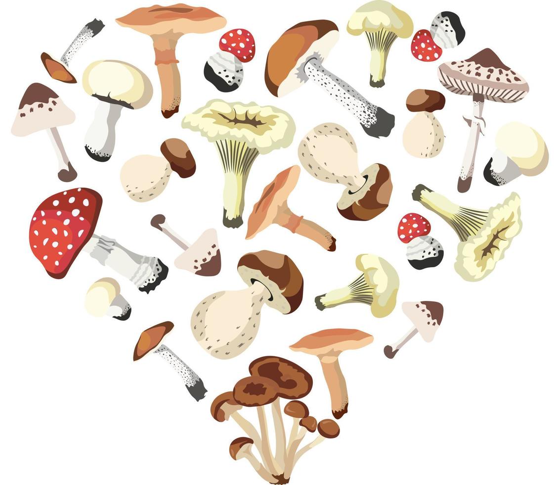 Autumn Mushrooms Compositions isolated Vector illustration on white background