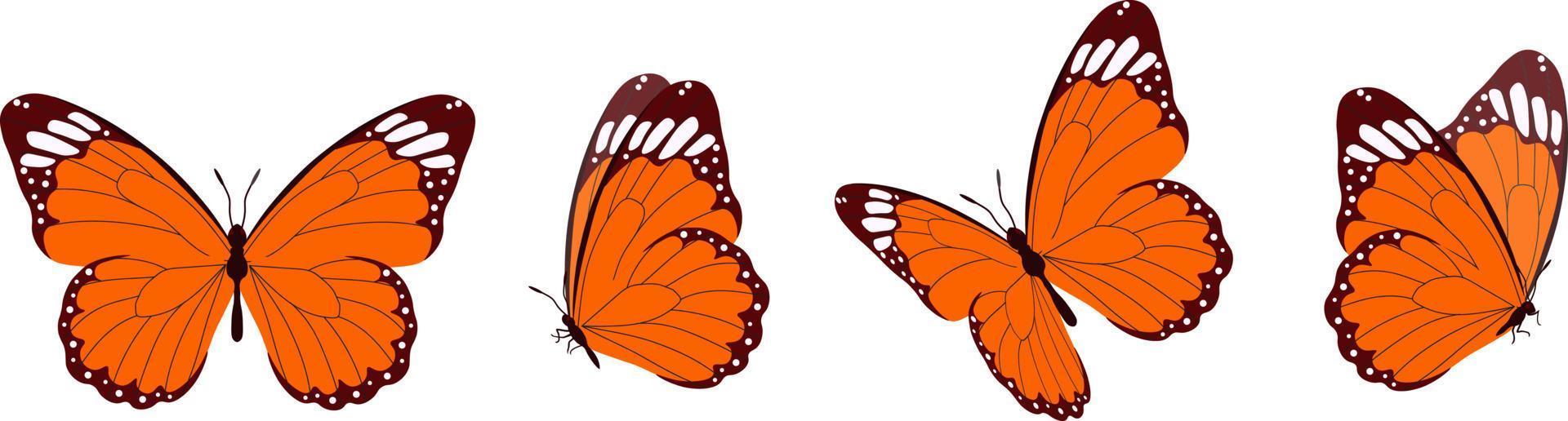 Vector set of beautiful colorful butterflies on a white background