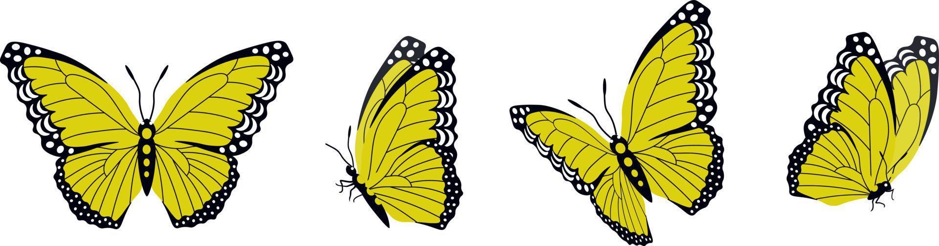 Vector set of beautiful colorful butterflies on a white background