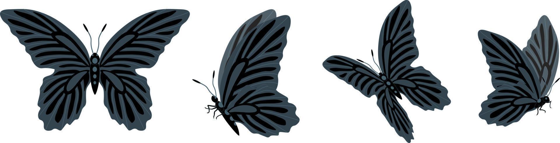 conjunto vectorial de hermosas mariposas coloridas sobre un fondo blanco vector