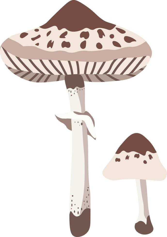 Autumn Mushrooms isolated Vector illustration on white background