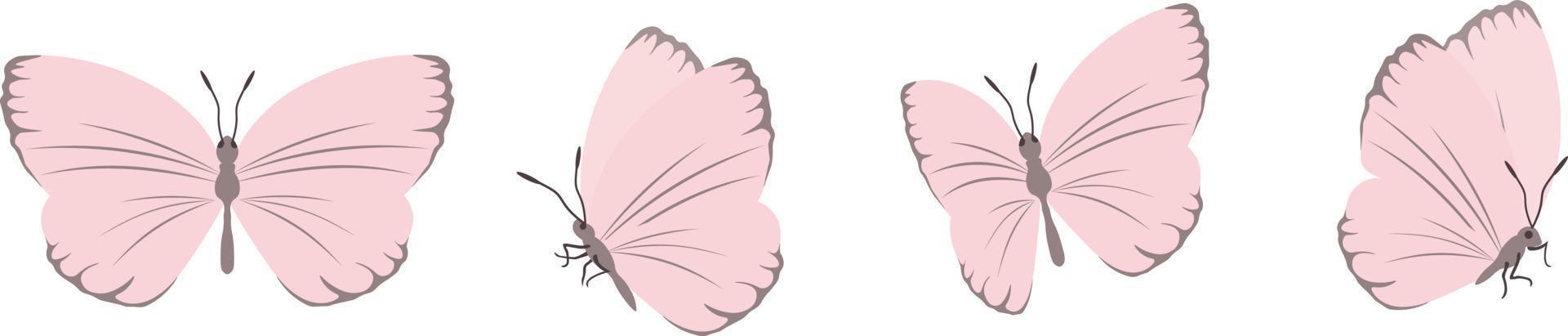 Vector set of beautiful colorful butterflies on a white background