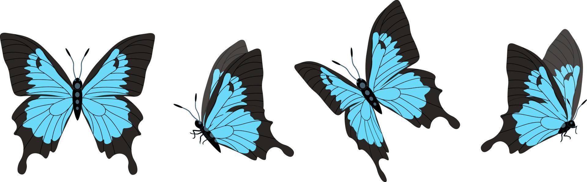 Vector set of beautiful colorful butterflies on a white background