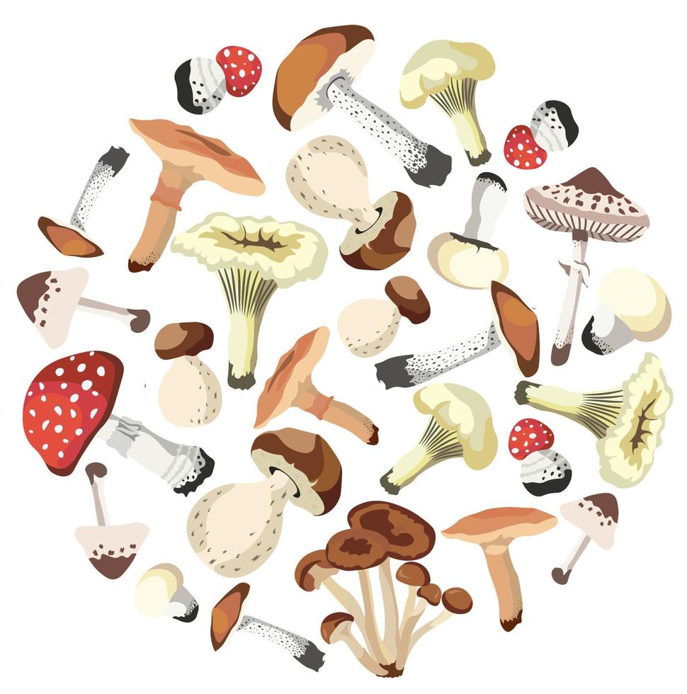 Autumn Mushrooms Compositions isolated Vector illustration on white background