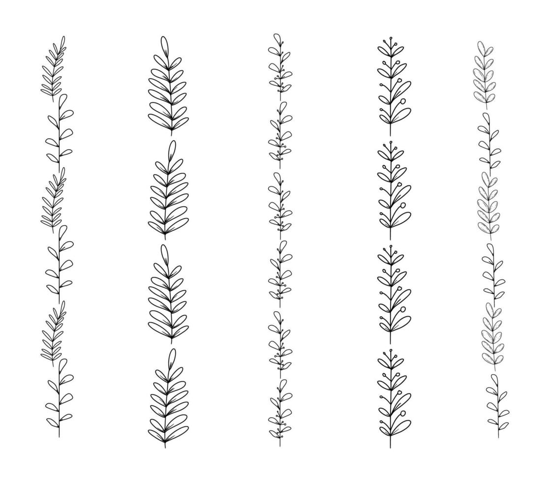 Wreath Border Frame Pattern Collection Vector