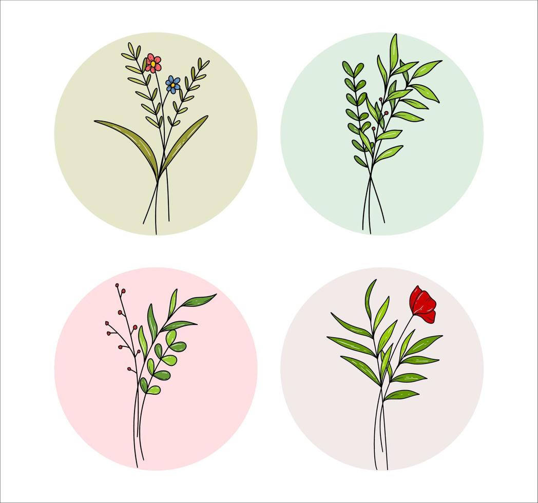 conjunto de iconos de vector de color de ramo floral