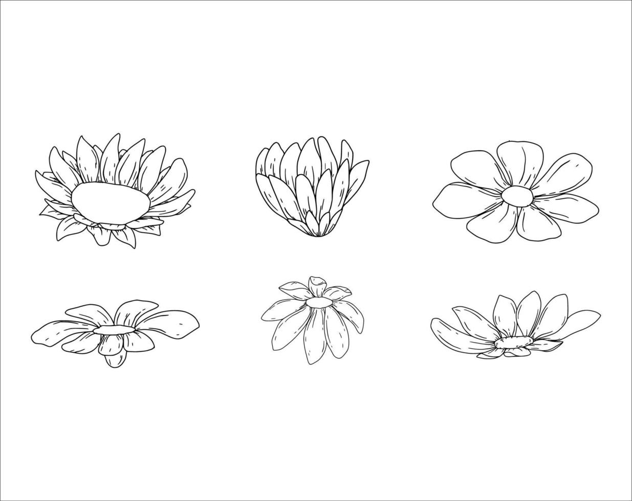 Set of Doodle Sketch Flower Illustrations on a White Background vector