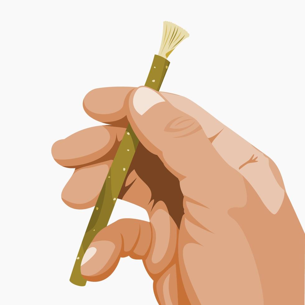 Editable Isolated Hand Holding Miswak Organic Twig Toothbrush Obliquely Vector Illustration for Healthy Lifestyle Concept With Islamic or Ayurvedic Culture