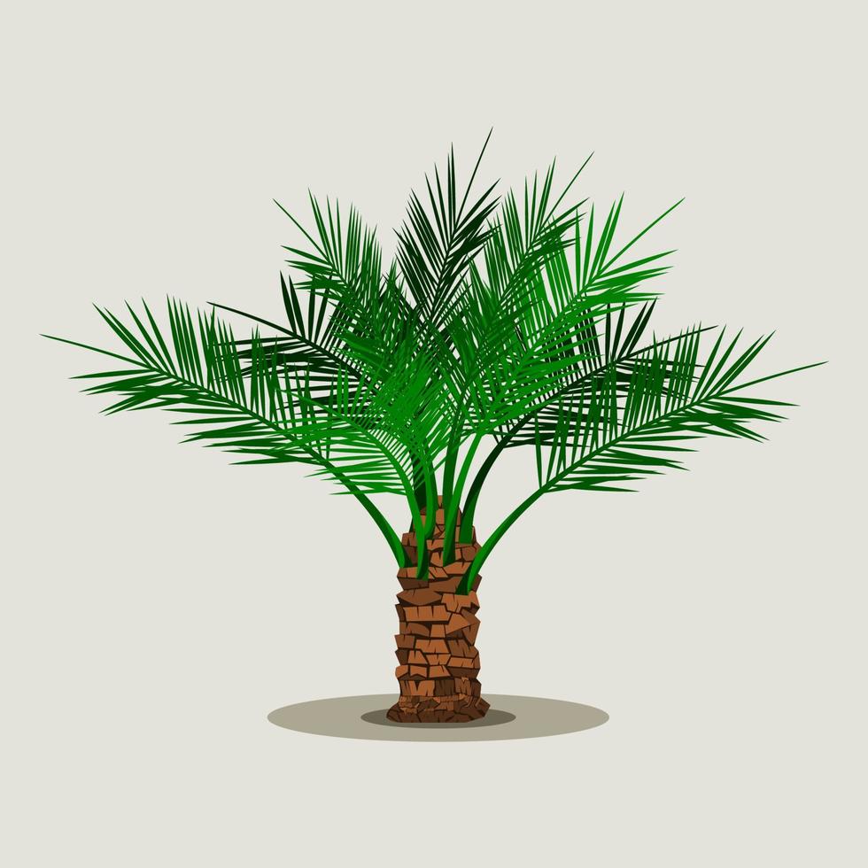 Editable Isolated Short Date Palm Tree on Light Background Vector Illustration for Islamic or Arab Nature and Culture Also Healthy Foods Related Design