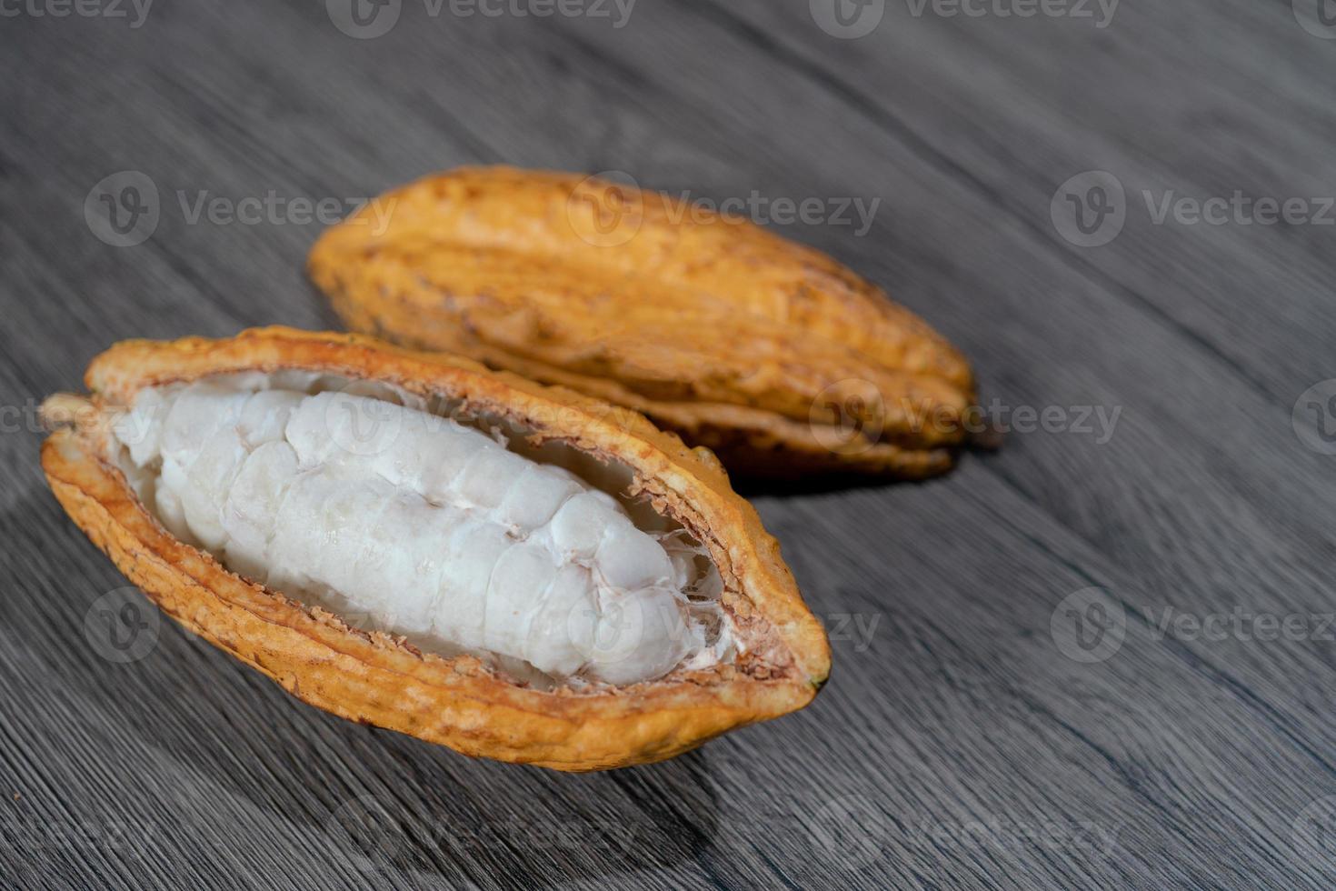 Cutted cocoa pod with beans inside. Fresh cacao at plantation. photo