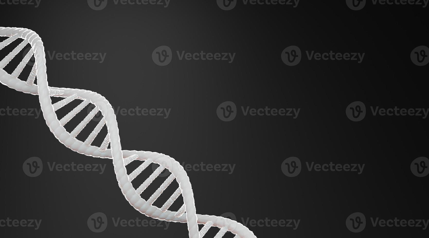 White DNA structure abstract on black background, 3D rendering. photo