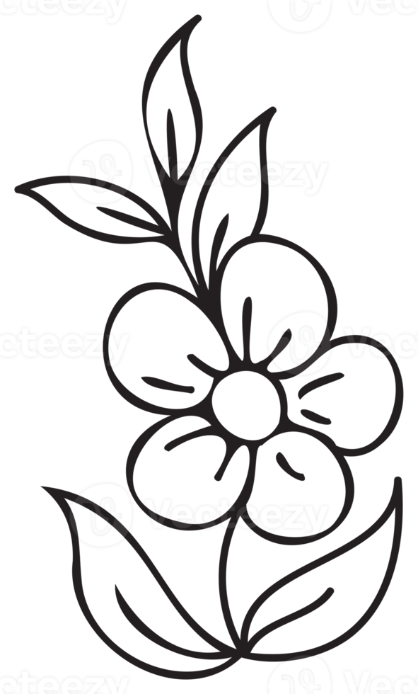 Line art flower illustration. PNG with transparent background.