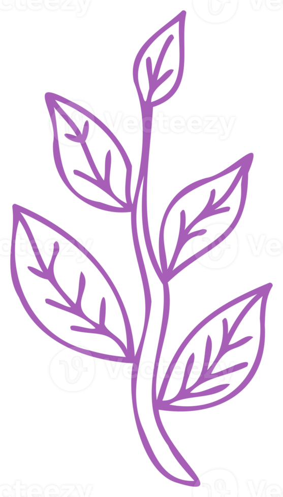 Plant decoration. PNG with transparent background.