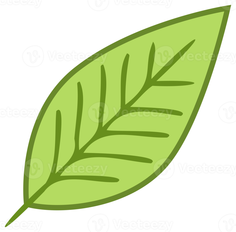 botanisch ontwerp element, decoratief vlak. PNG met transparant achtergrond.