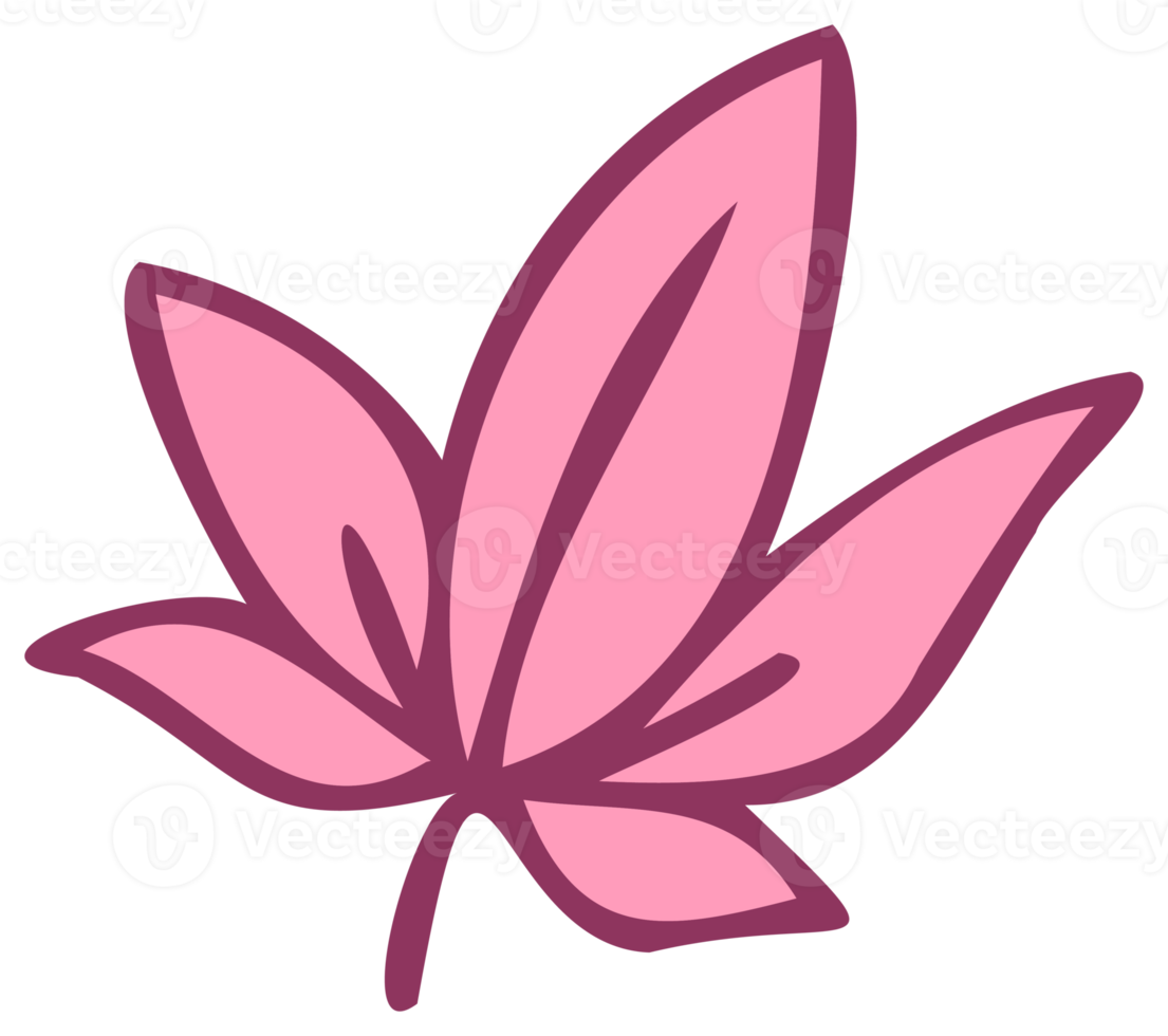 Botanical design element, decorative plane. PNG with transparent background.