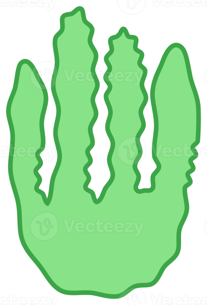 Botanical design element, decorative plane. PNG with transparent background.