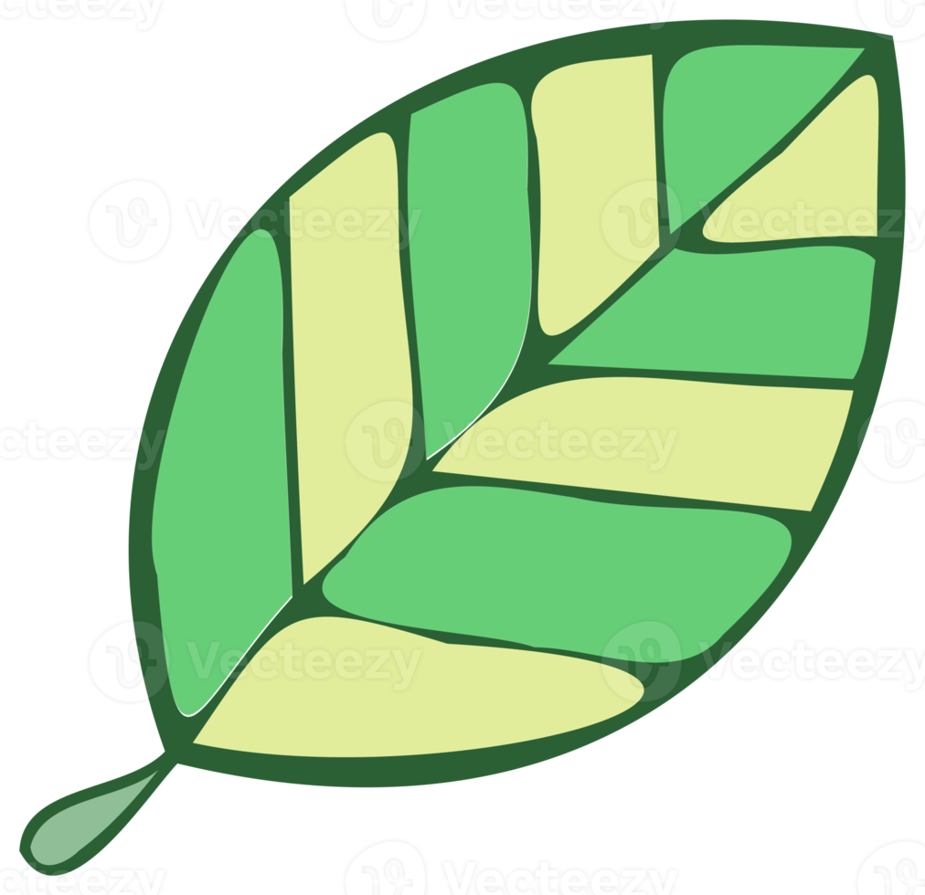 Botanical design element, decorative plane. PNG with transparent background.