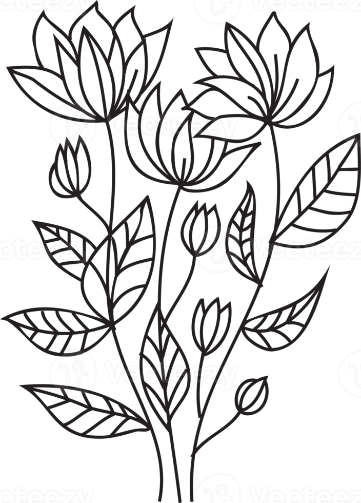 Flower line art illustration with black thin line. PNG with transparent