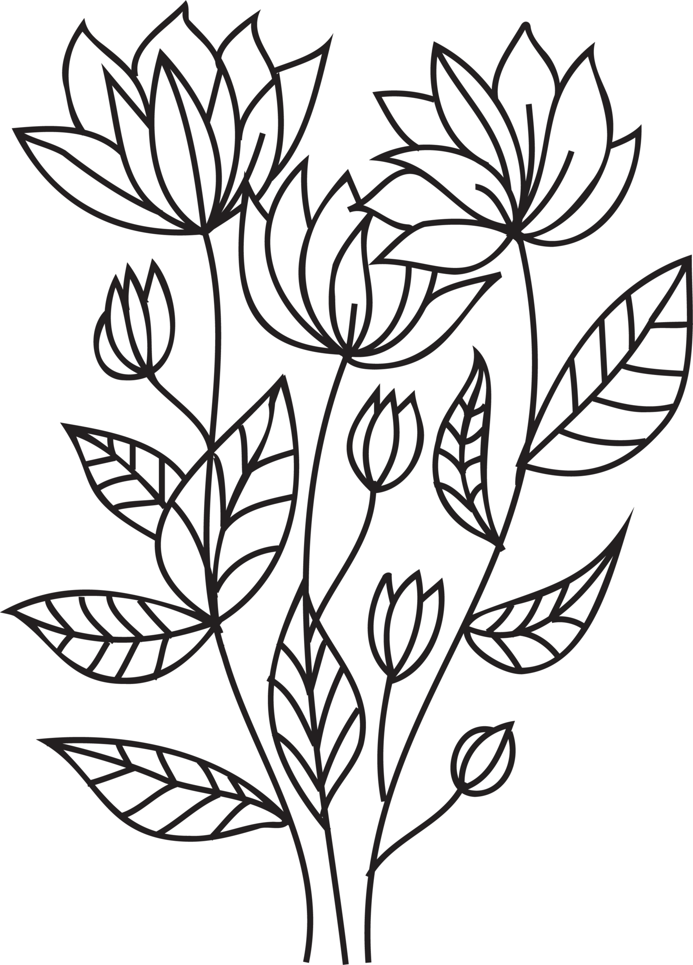 Flower Line Art png download - 1024*1062 - Free Transparent Tattletail png  Download. - CleanPNG / KissPNG