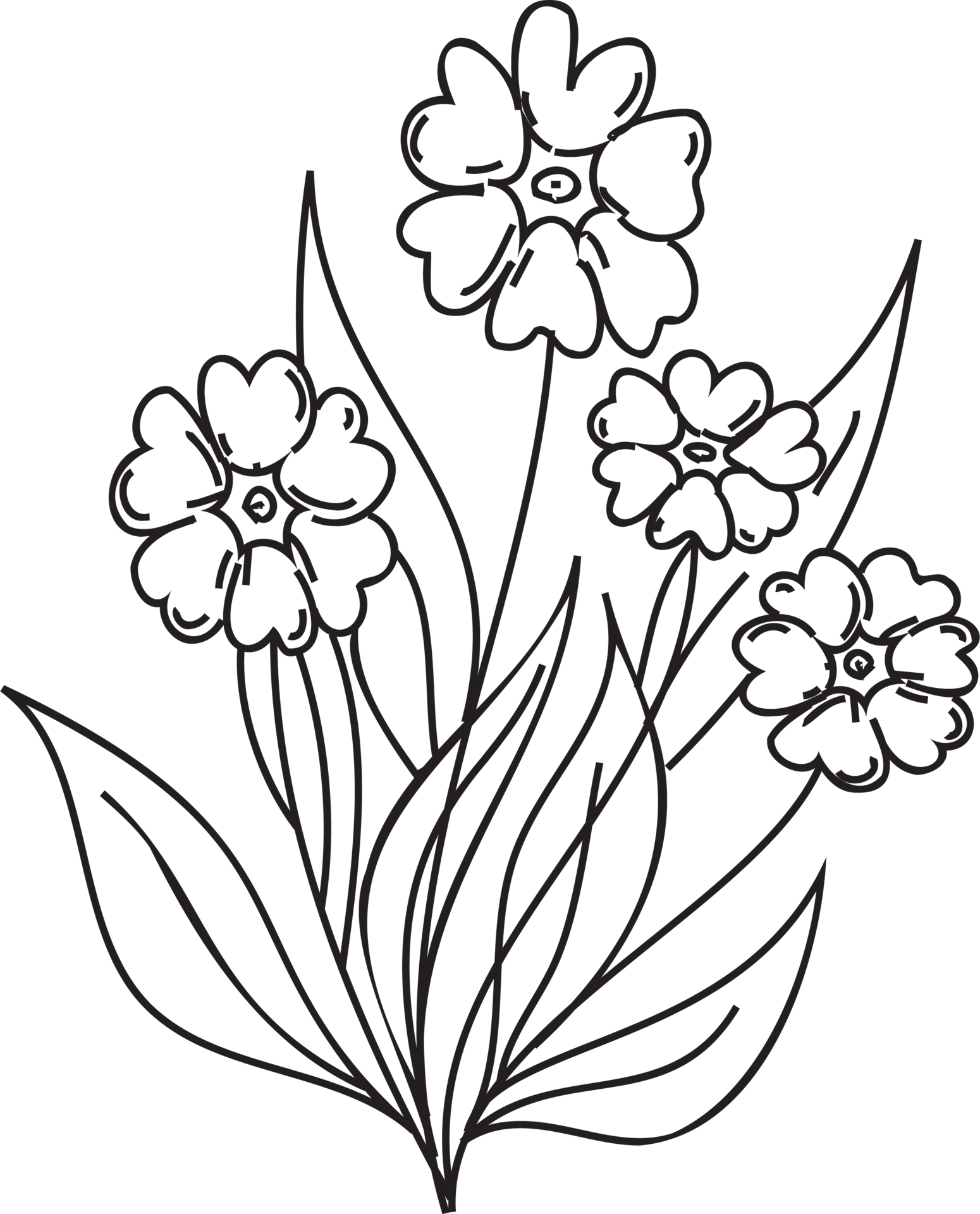 Flower line art illustration with black thin line. PNG with transparent