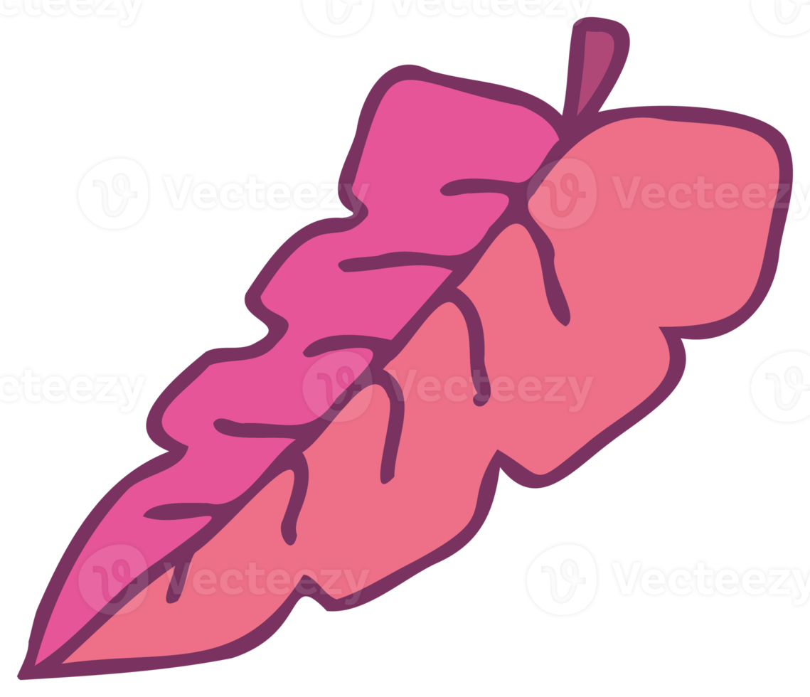 Botanical design element, decorative plane. PNG with transparent background.