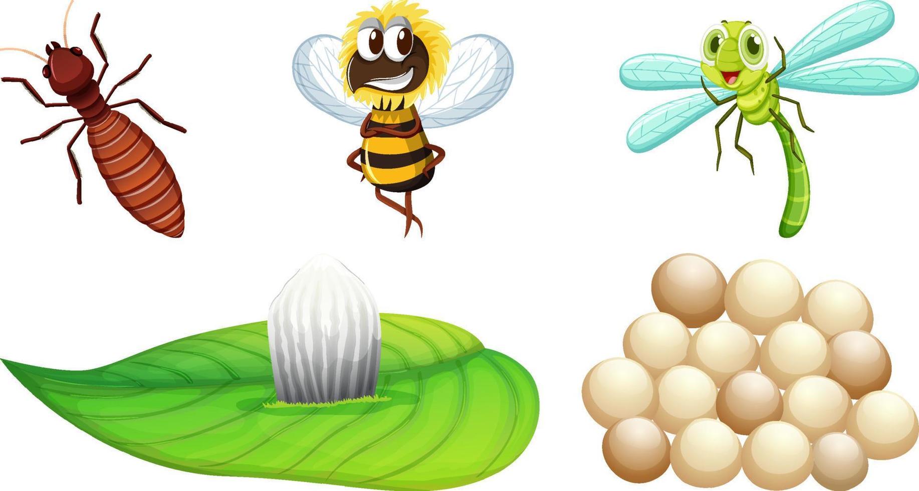 Set of different kinds of insects vector