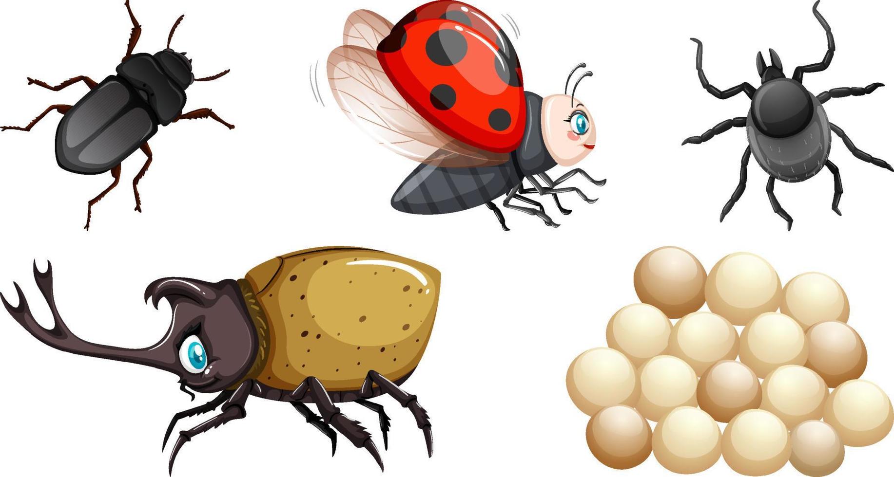Collection of different insects vector