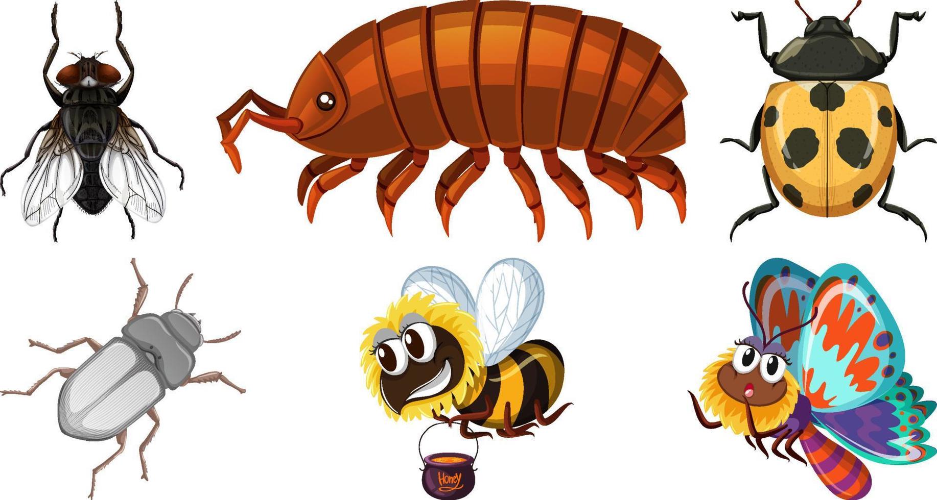 Set of different kinds of insects vector