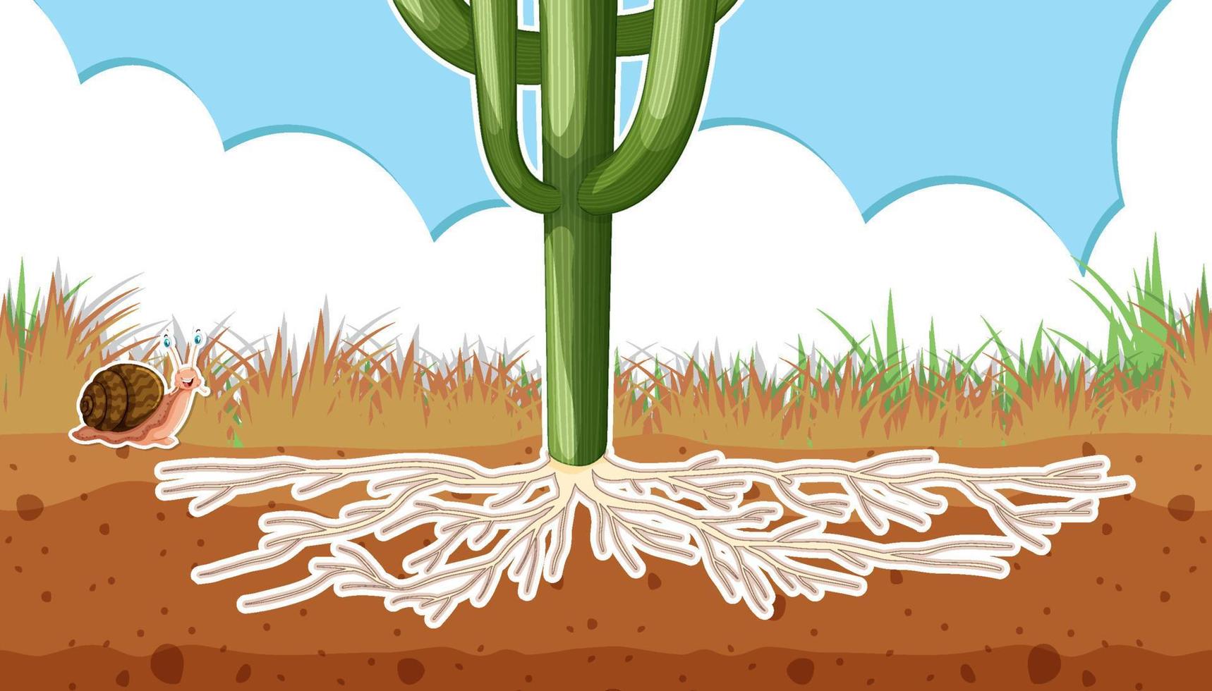 Plant showing roots in soil thumbnail design vector