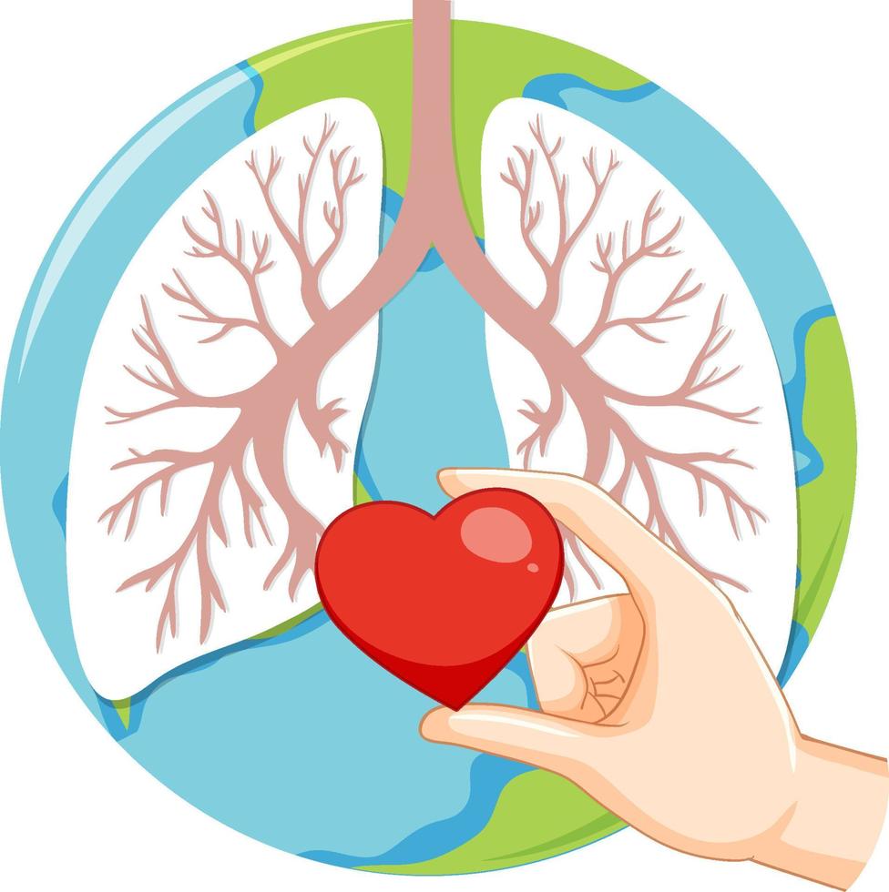 Lungs human icon vector