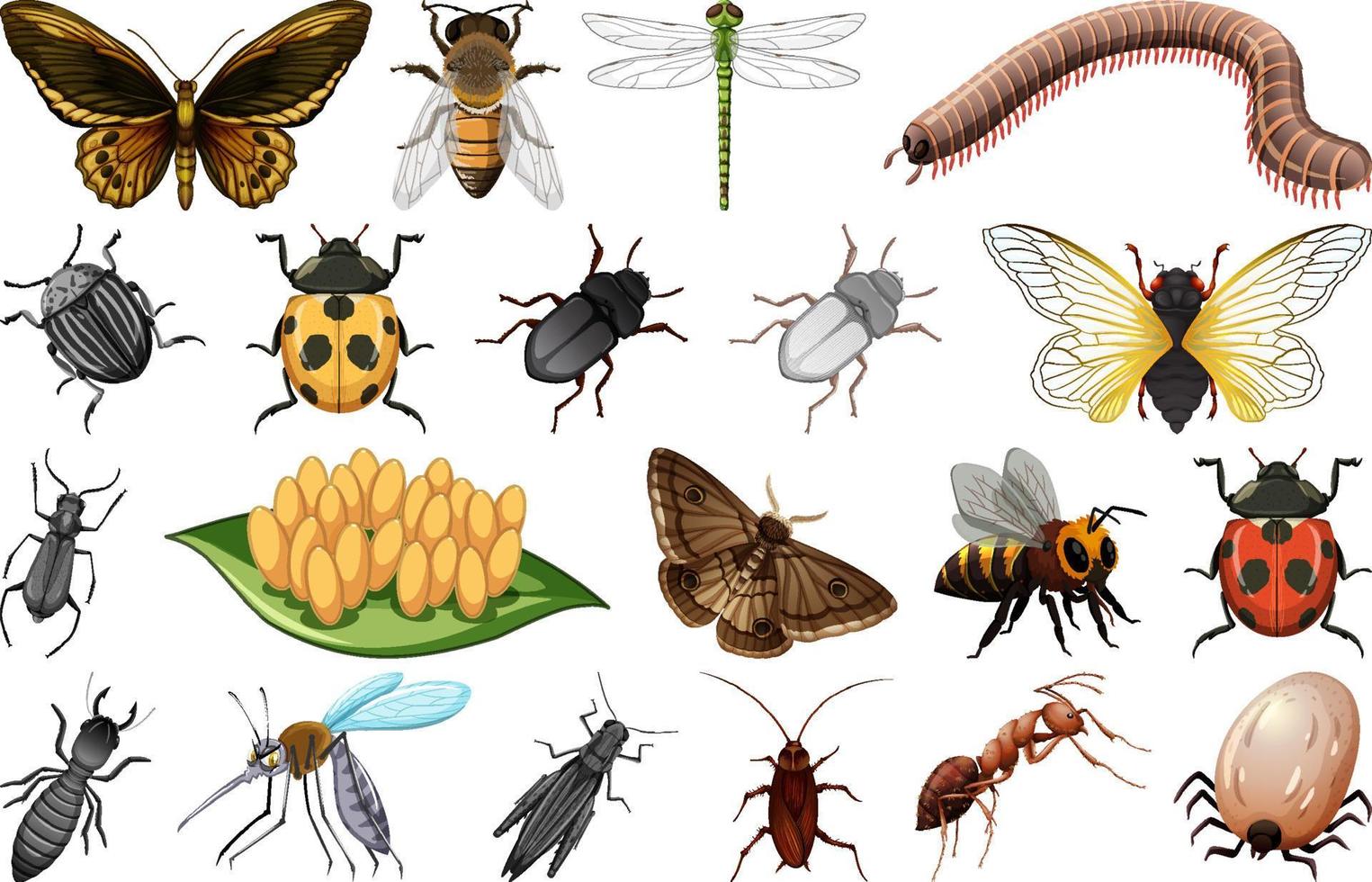 colección de diferentes tipos de insectos vector