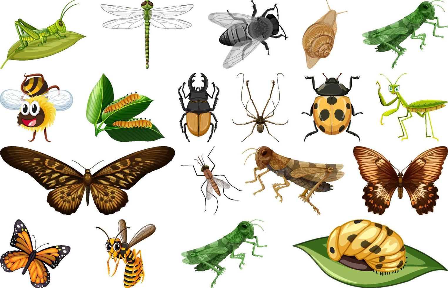 colección de diferentes tipos de insectos vector