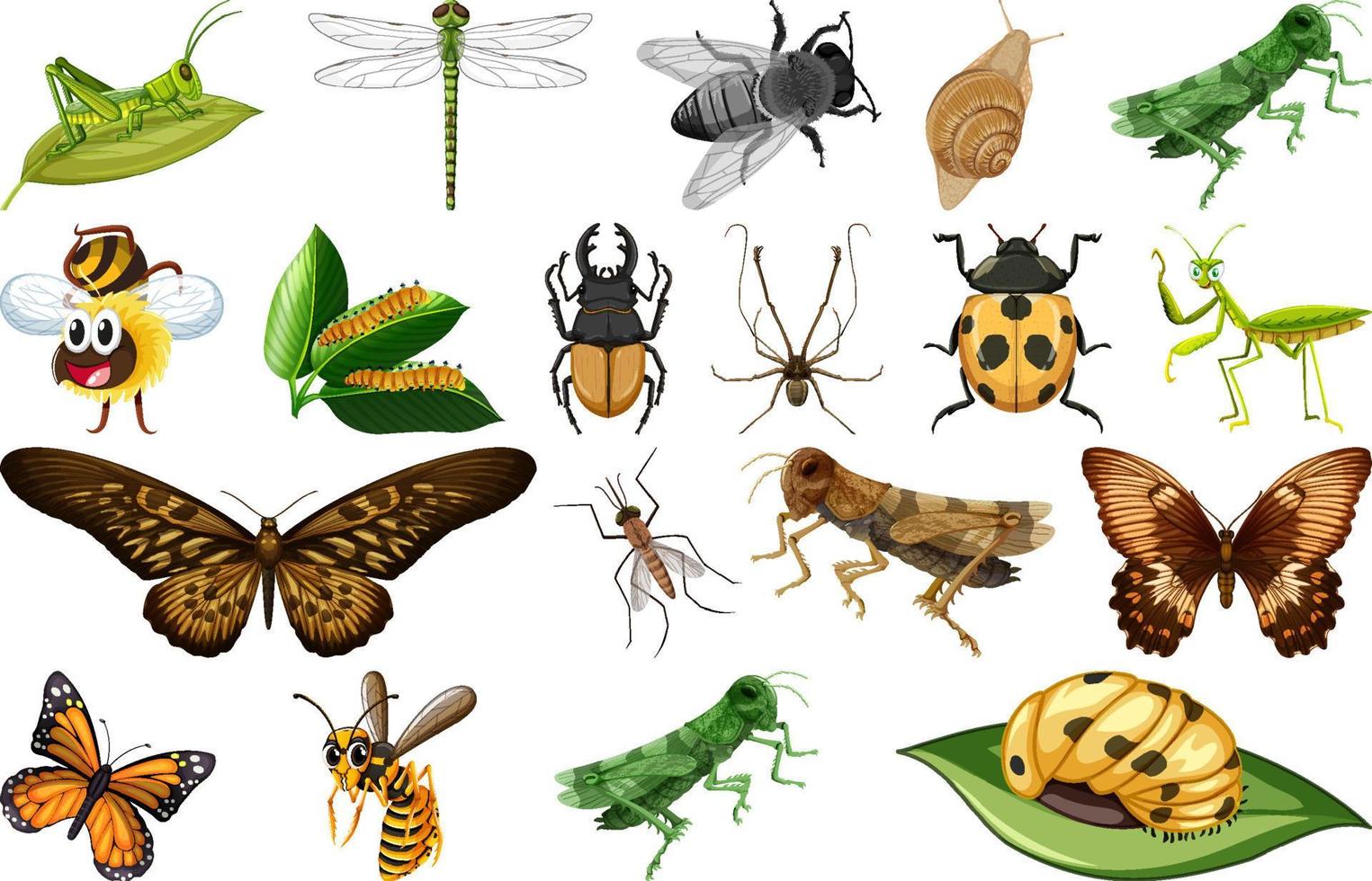 Different kinds of insects collection vector