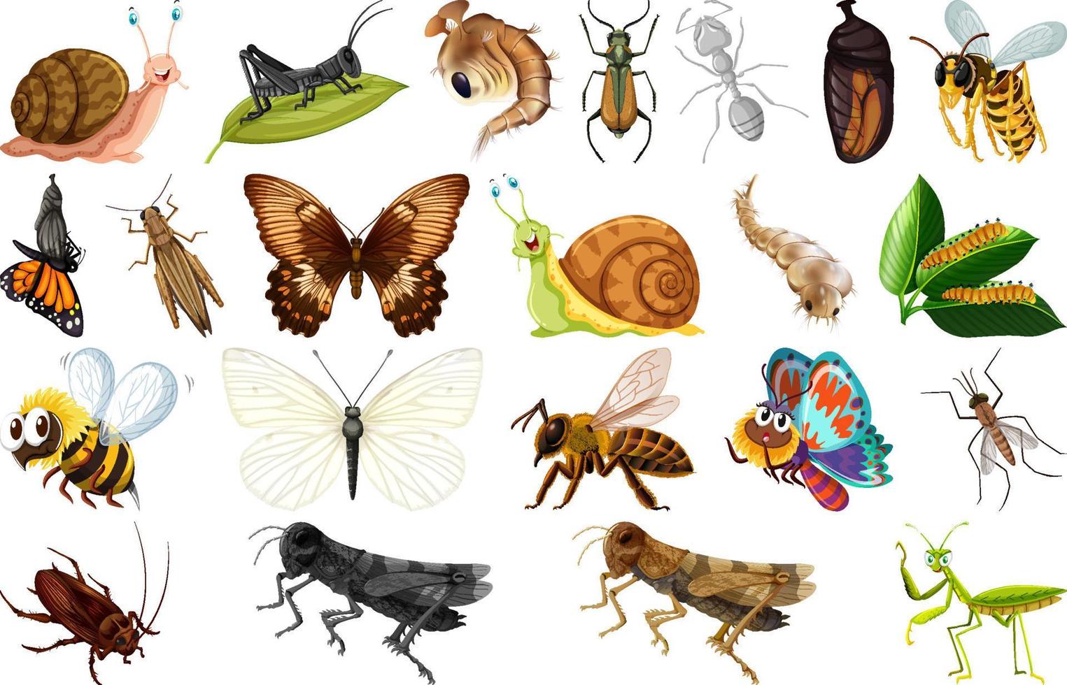 colección de diferentes tipos de insectos vector