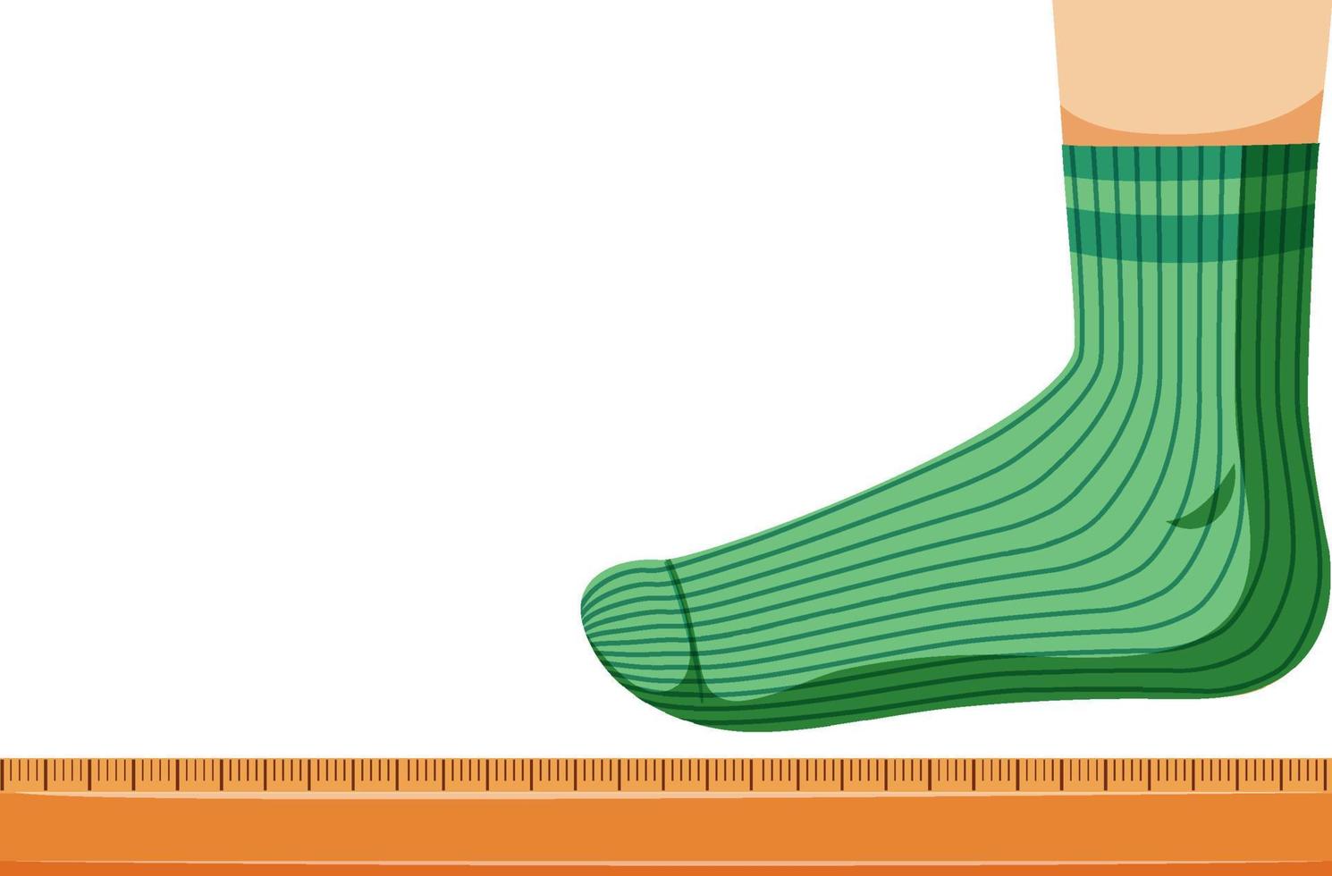 Measuring foot size vector