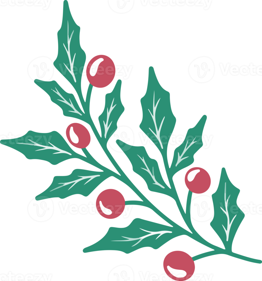 Christmas Holly leaves and berries png