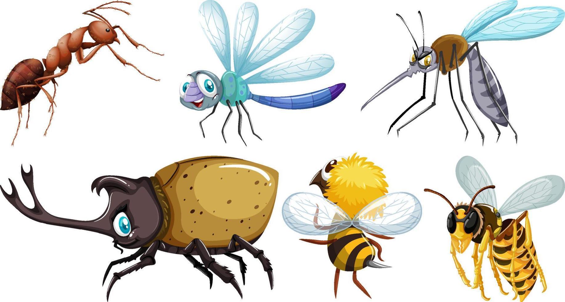 conjunto de diferentes tipos de insectos vector