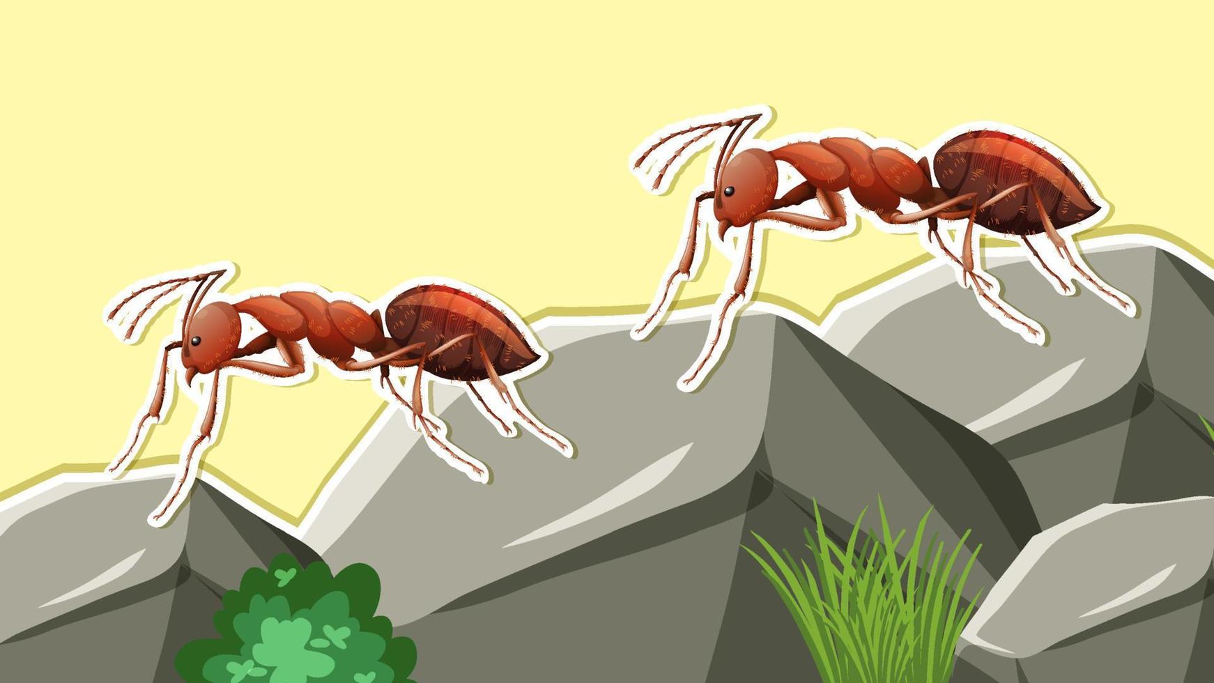 Thumbnail design with two red ants vector