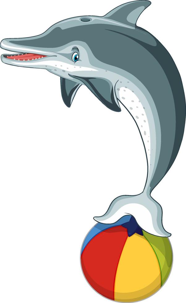 personaje de dibujos animados de delfines con pelota de playa colorida vector
