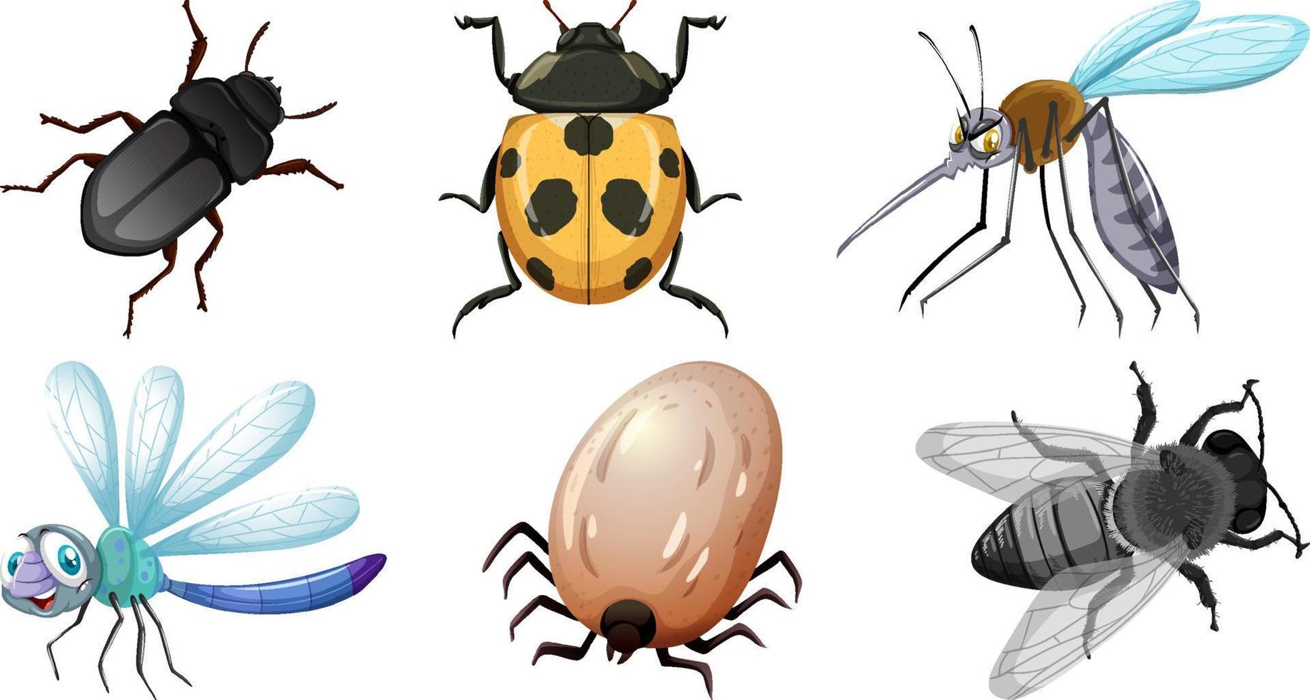 colección de diferentes vectores de insectos