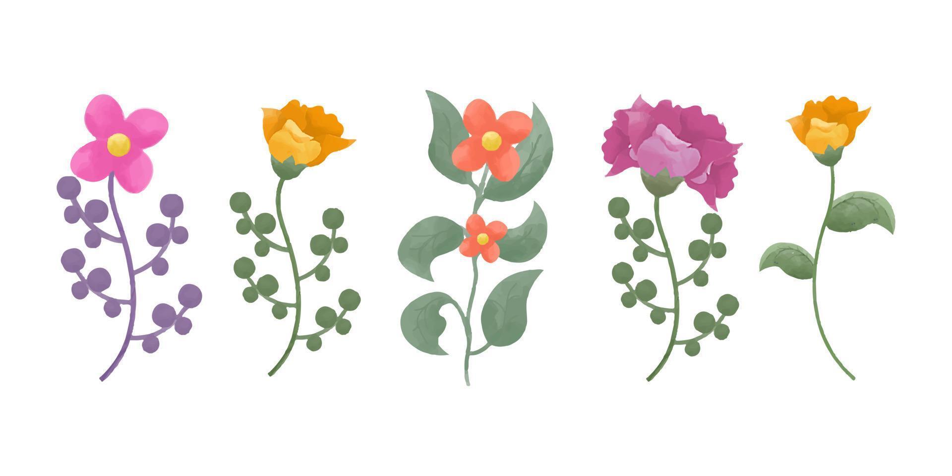 Watercolor colorful flower collection vector