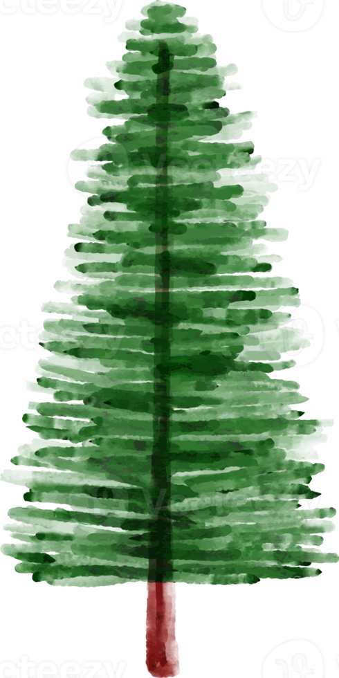 Pine Tree Watercolor Clip Art png