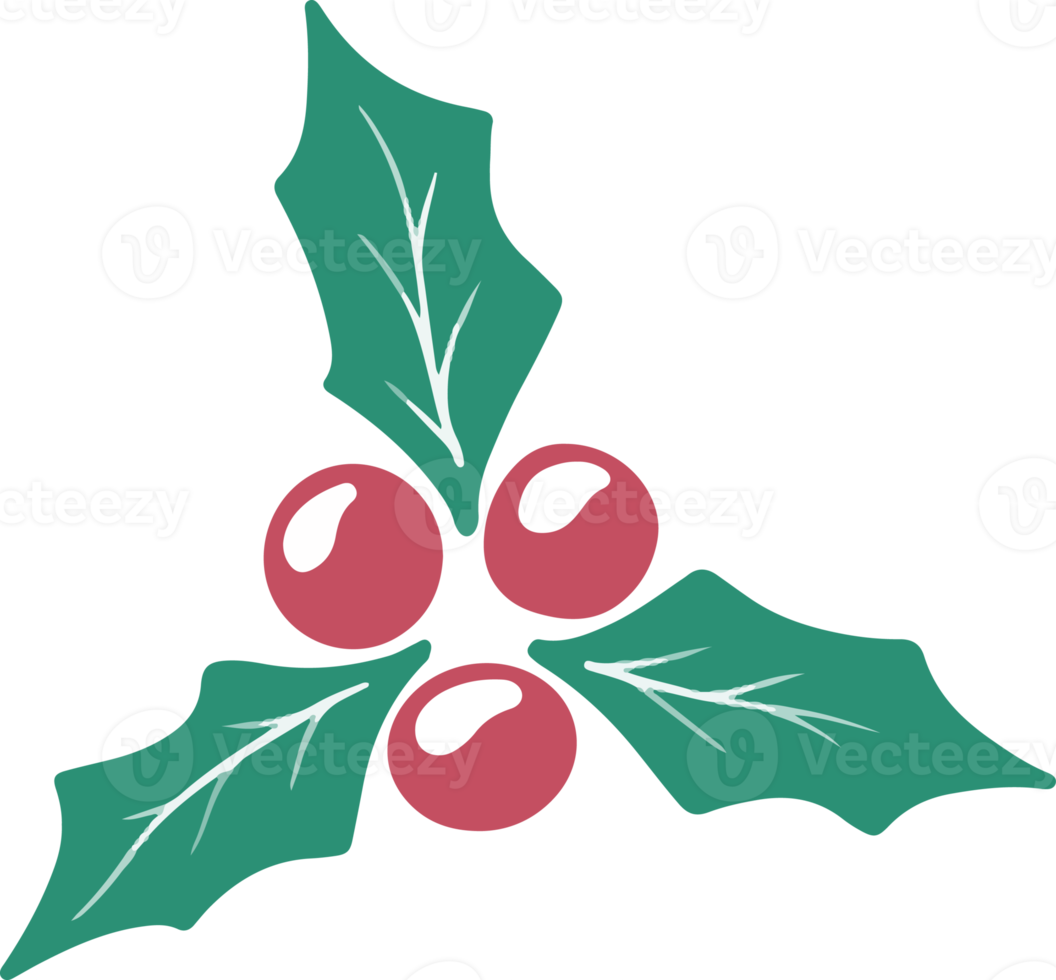 christmas-holly-leaves-and-berries-12497466-png
