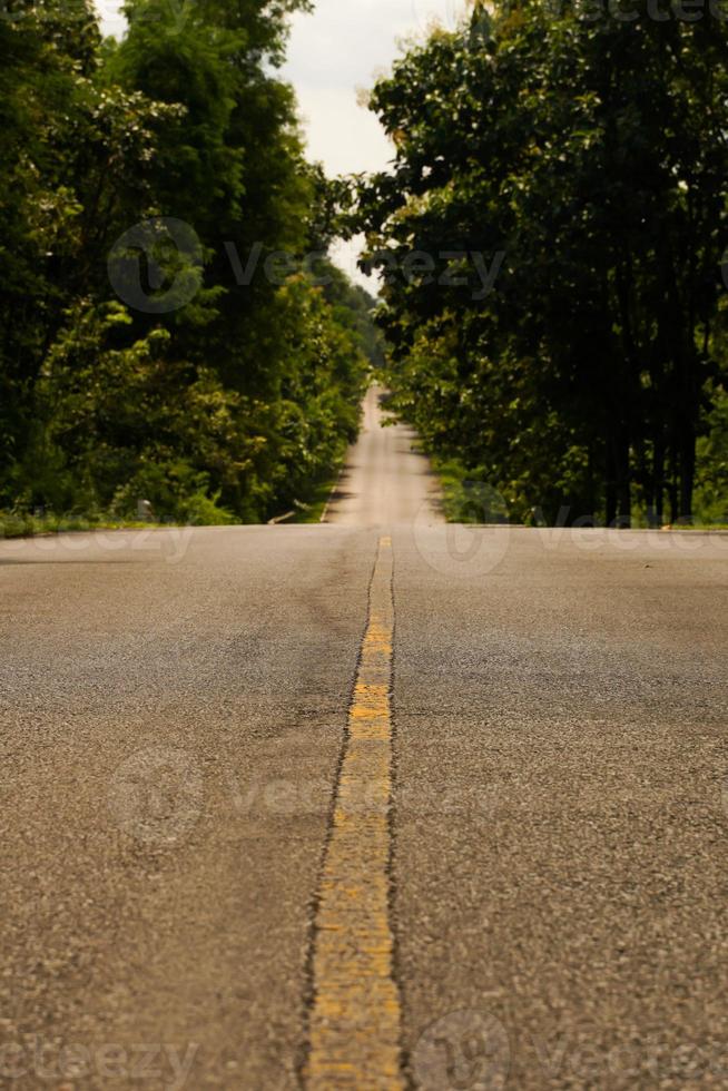 The asphalt road on both sides of the road was filled with big trees. photo