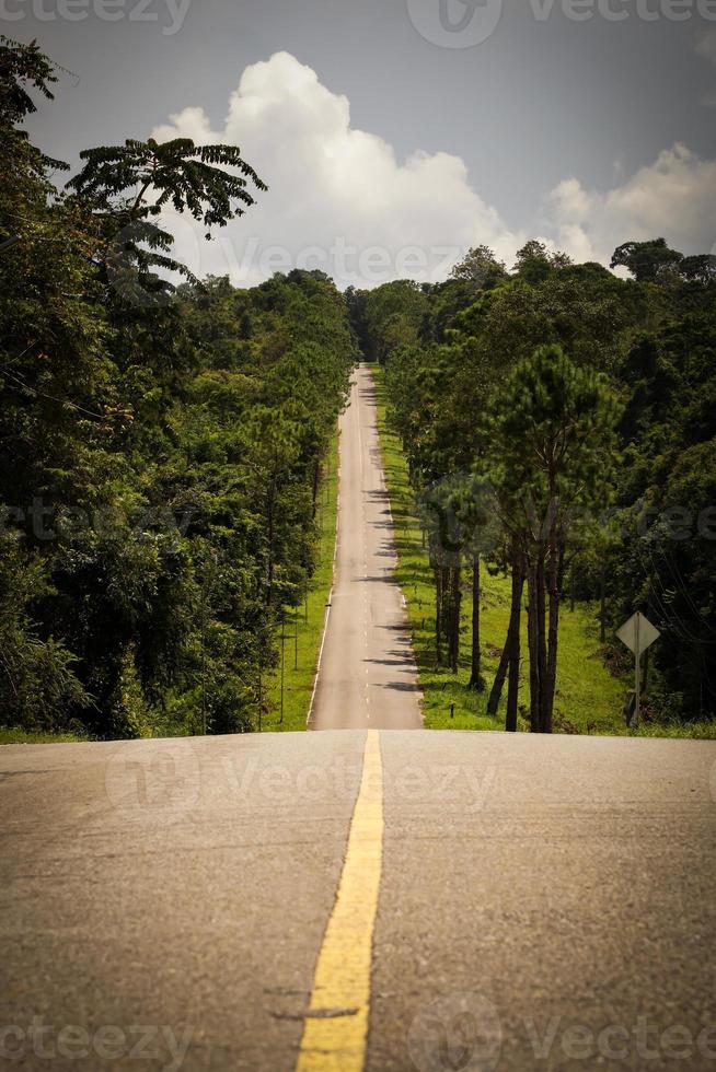 The asphalt road on both sides of the road was filled with big trees. photo