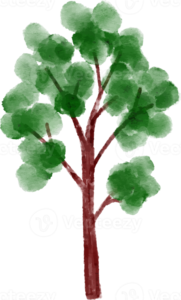Tree Watercolor Illustration png